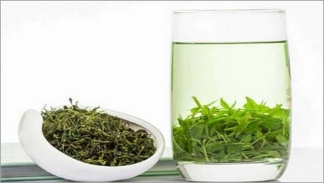 小叶苦丁茶的功效与春季饮用指南
